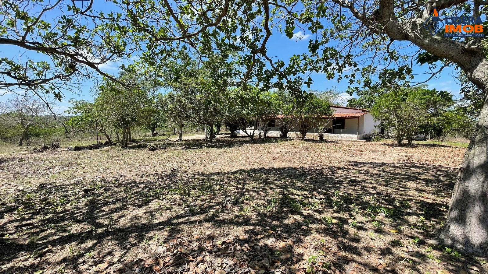 Chácara, 4 quartos, 6 hectares - Foto 1