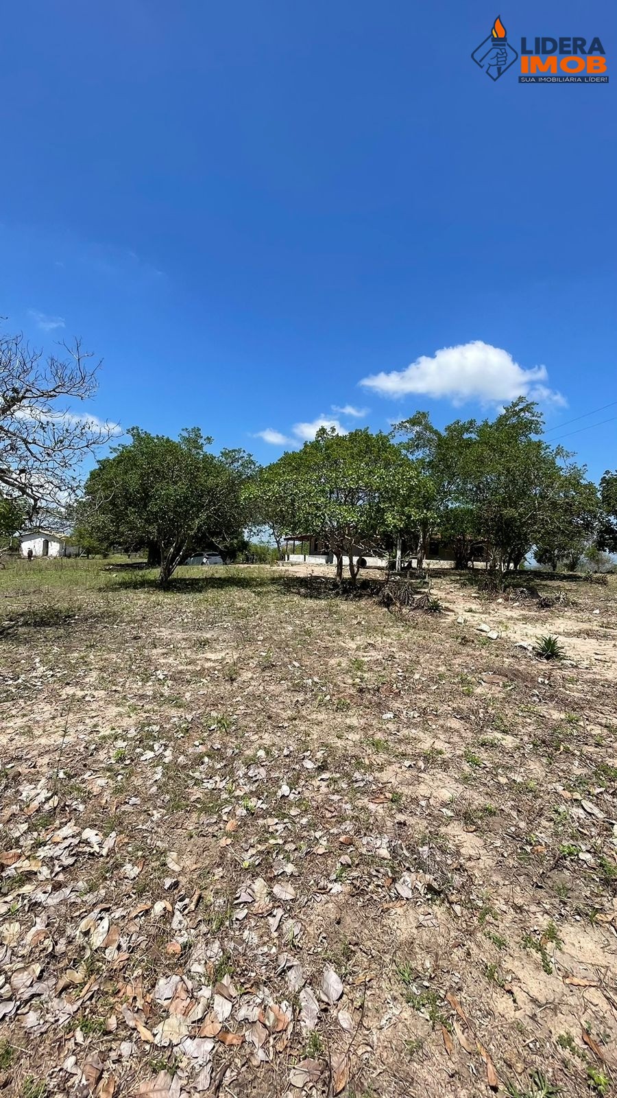 Chácara, 4 quartos, 6 hectares - Foto 4