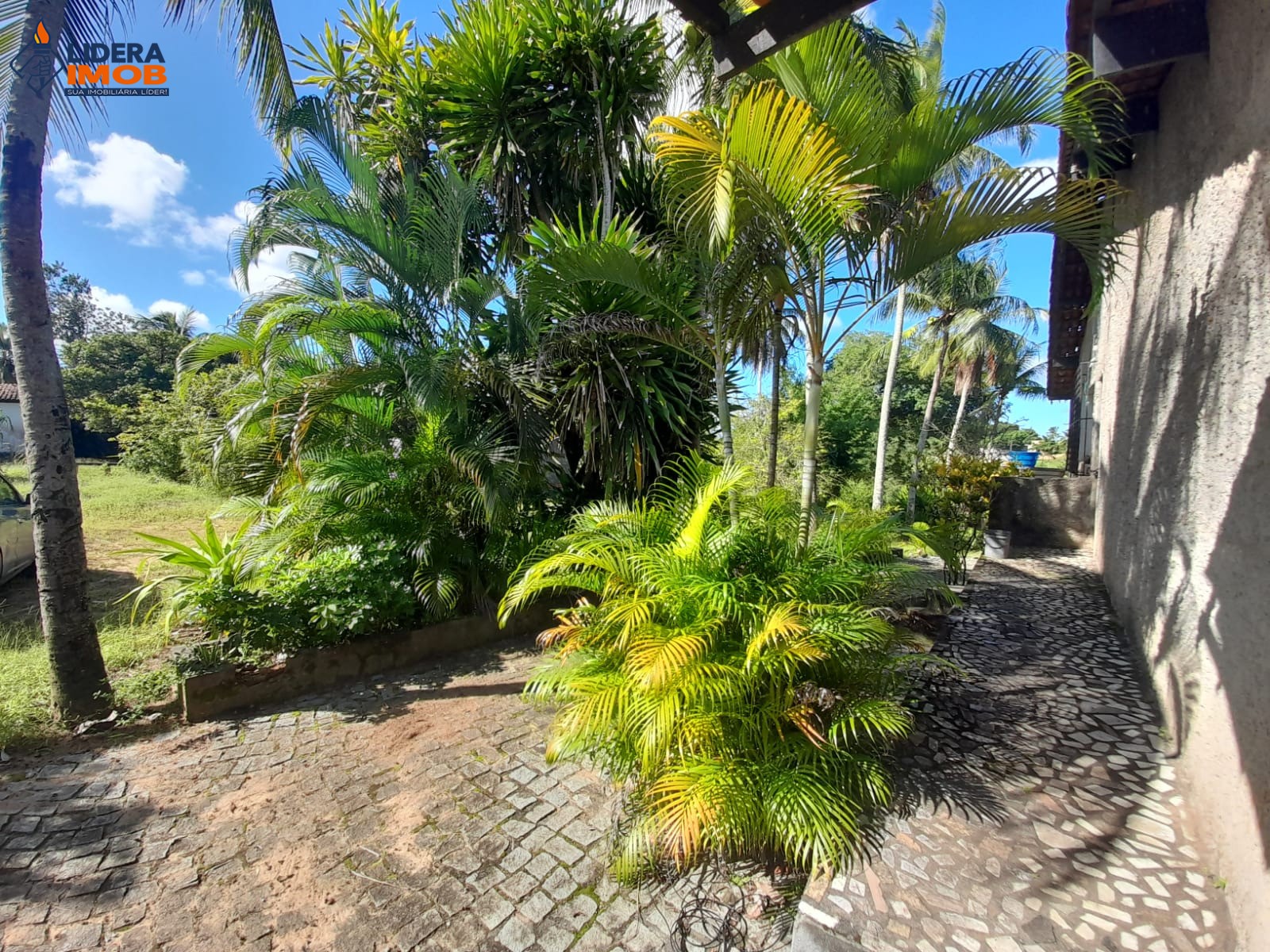 Terreno, 6112 m² - Foto 2