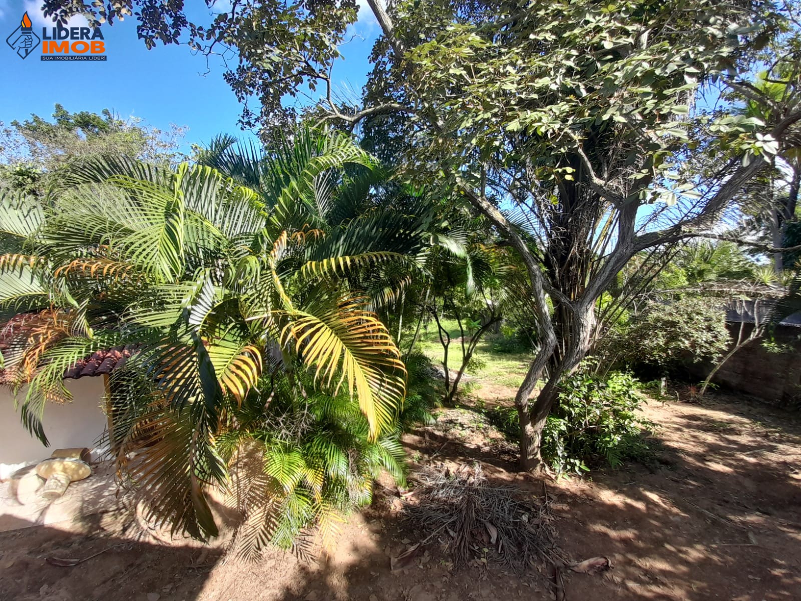 Terreno, 6112 m² - Foto 3