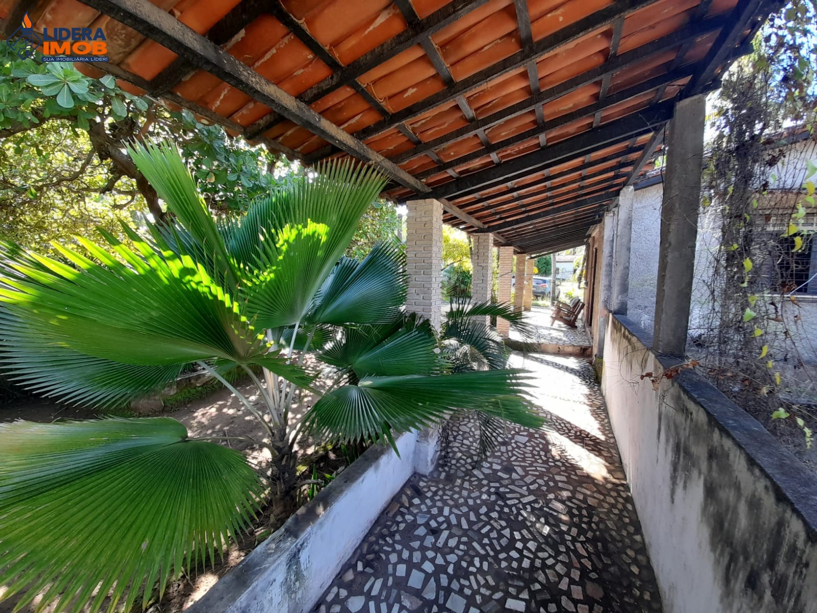 Terreno, 6112 m² - Foto 5