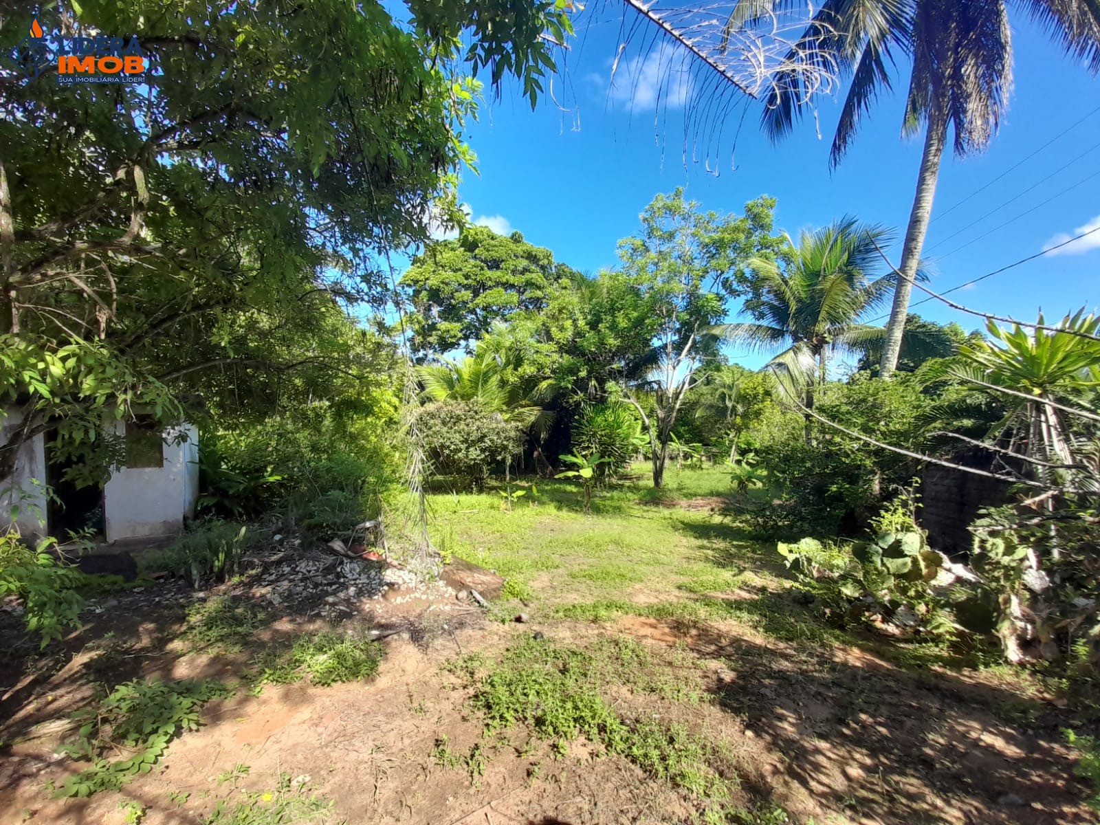 Terreno, 6112 m² - Foto 7