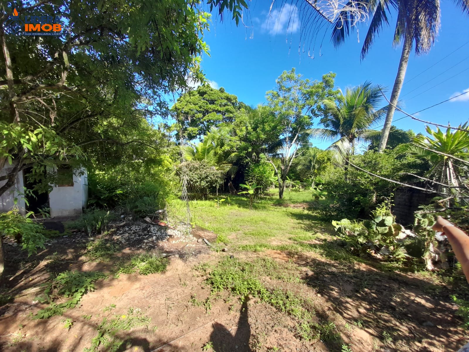 Terreno, 6112 m² - Foto 10