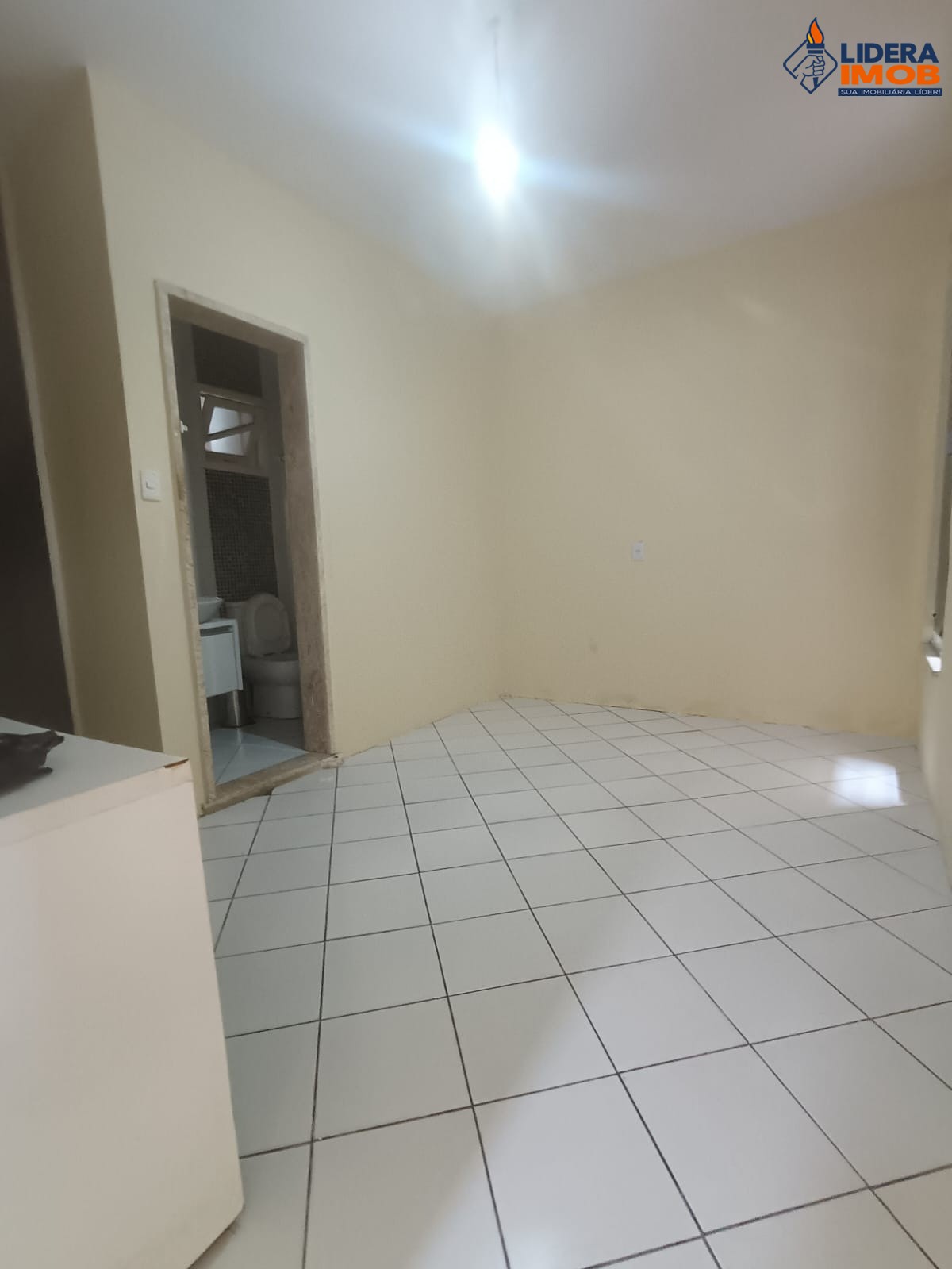 Casa, 4 quartos, 480 m² - Foto 27