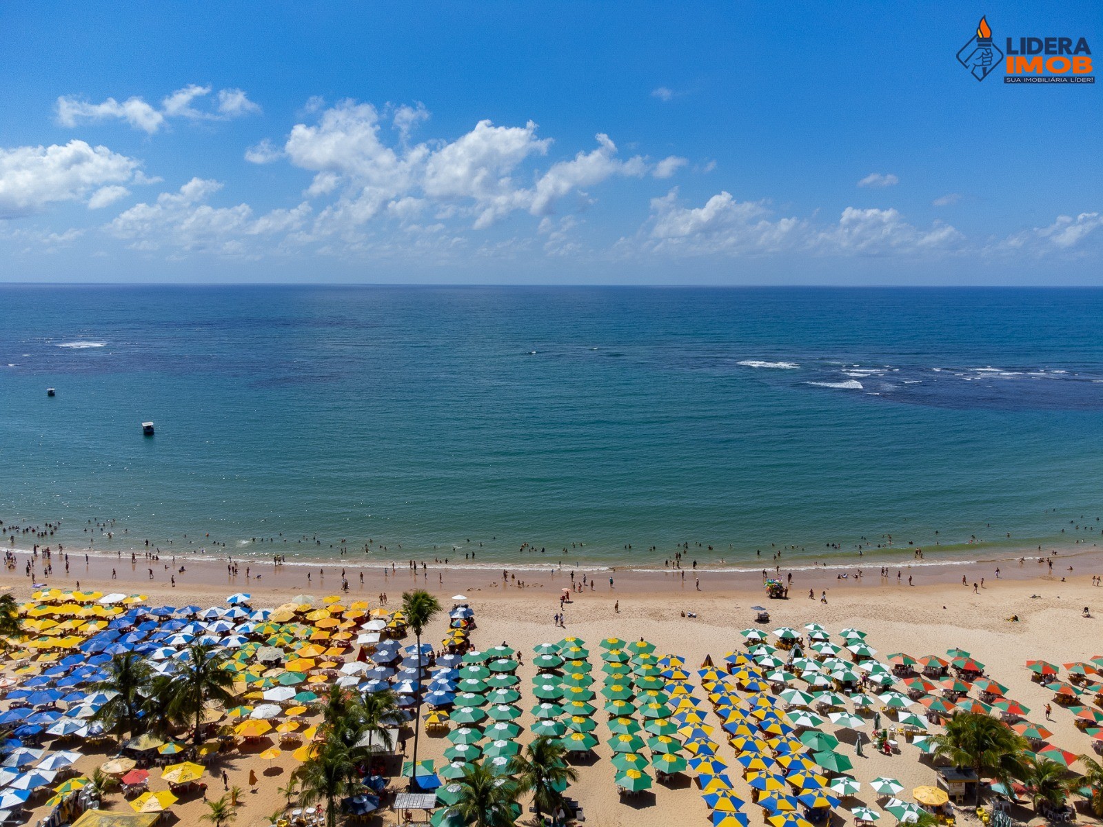 Casa, 5 quartos, 500 m² - Foto 3