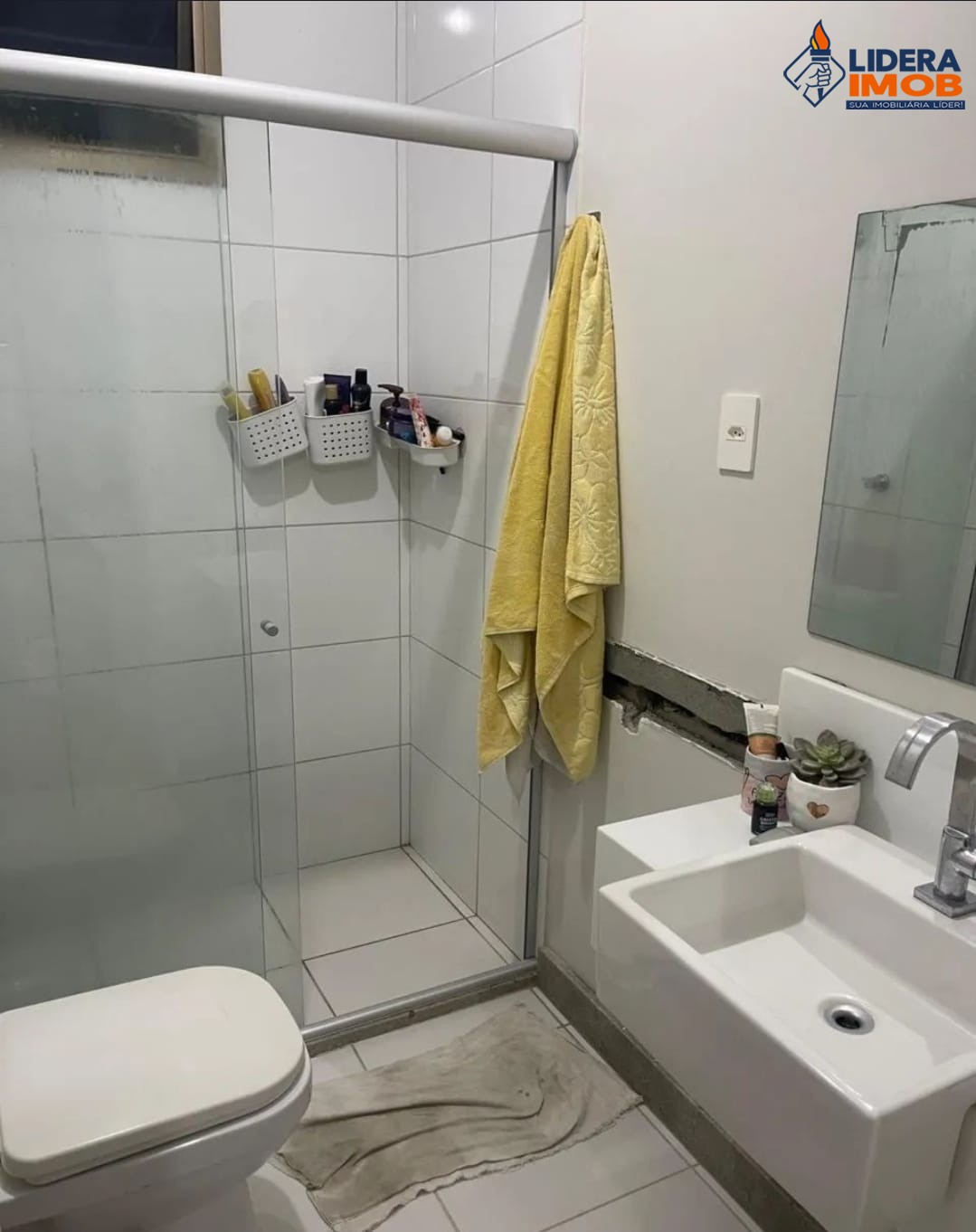 Casa, 4 quartos, 250 m² - Foto 6