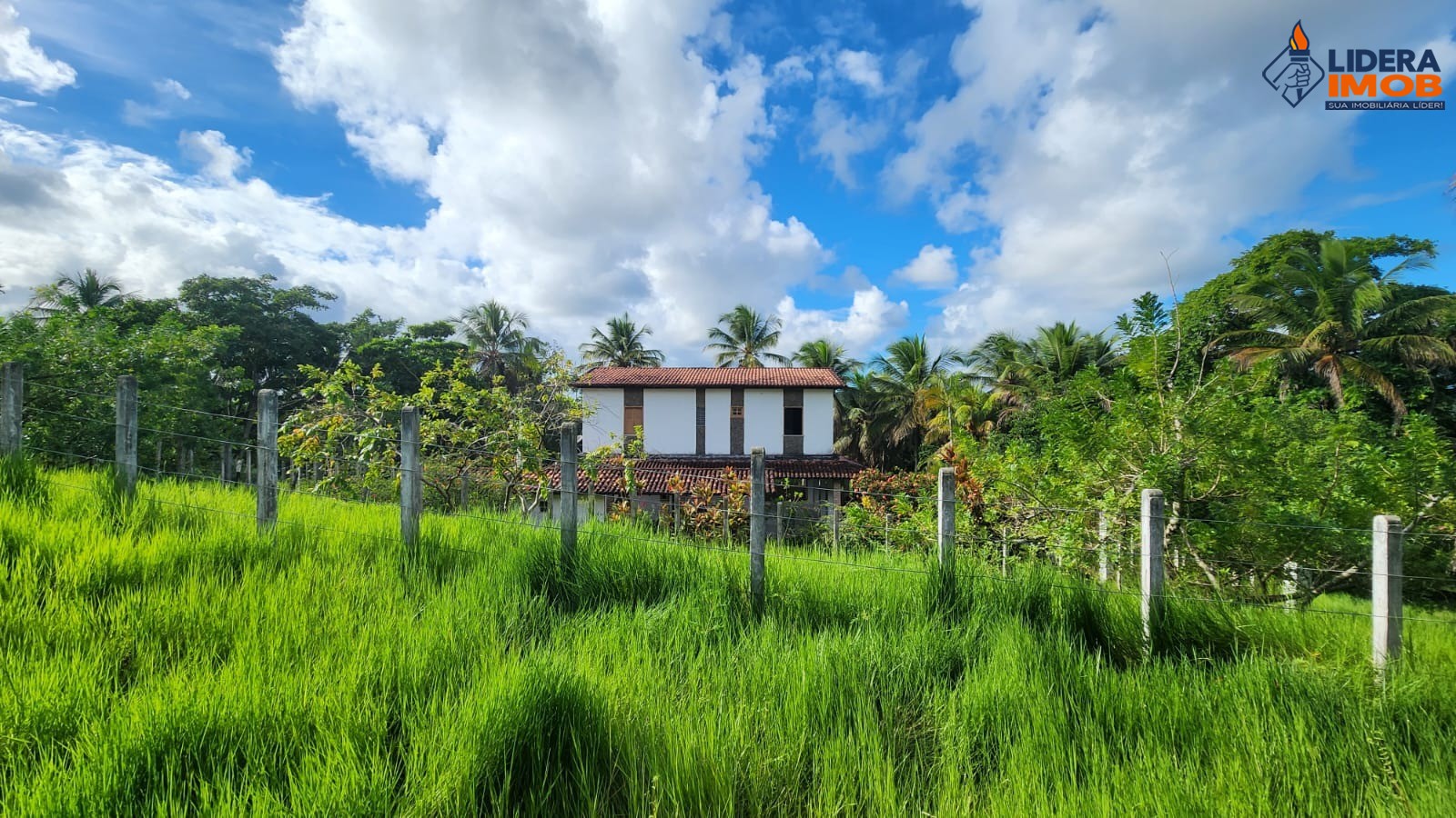 Fazenda, 14 hectares - Foto 10