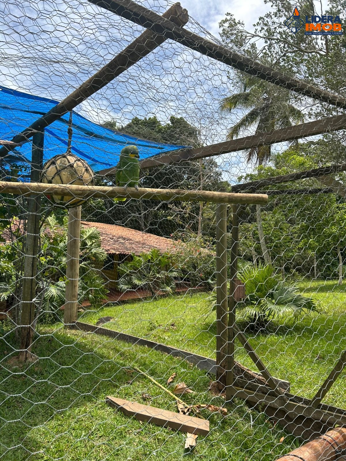 Sítio, 19 quartos, 17 hectares - Foto 6