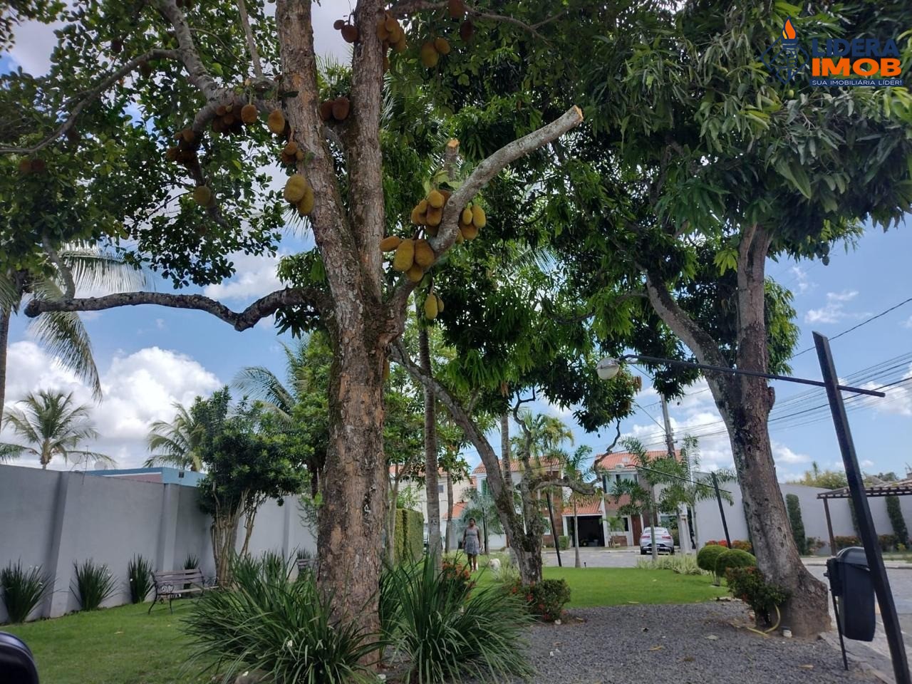 Casa, 4 quartos, 150 m² - Foto 21