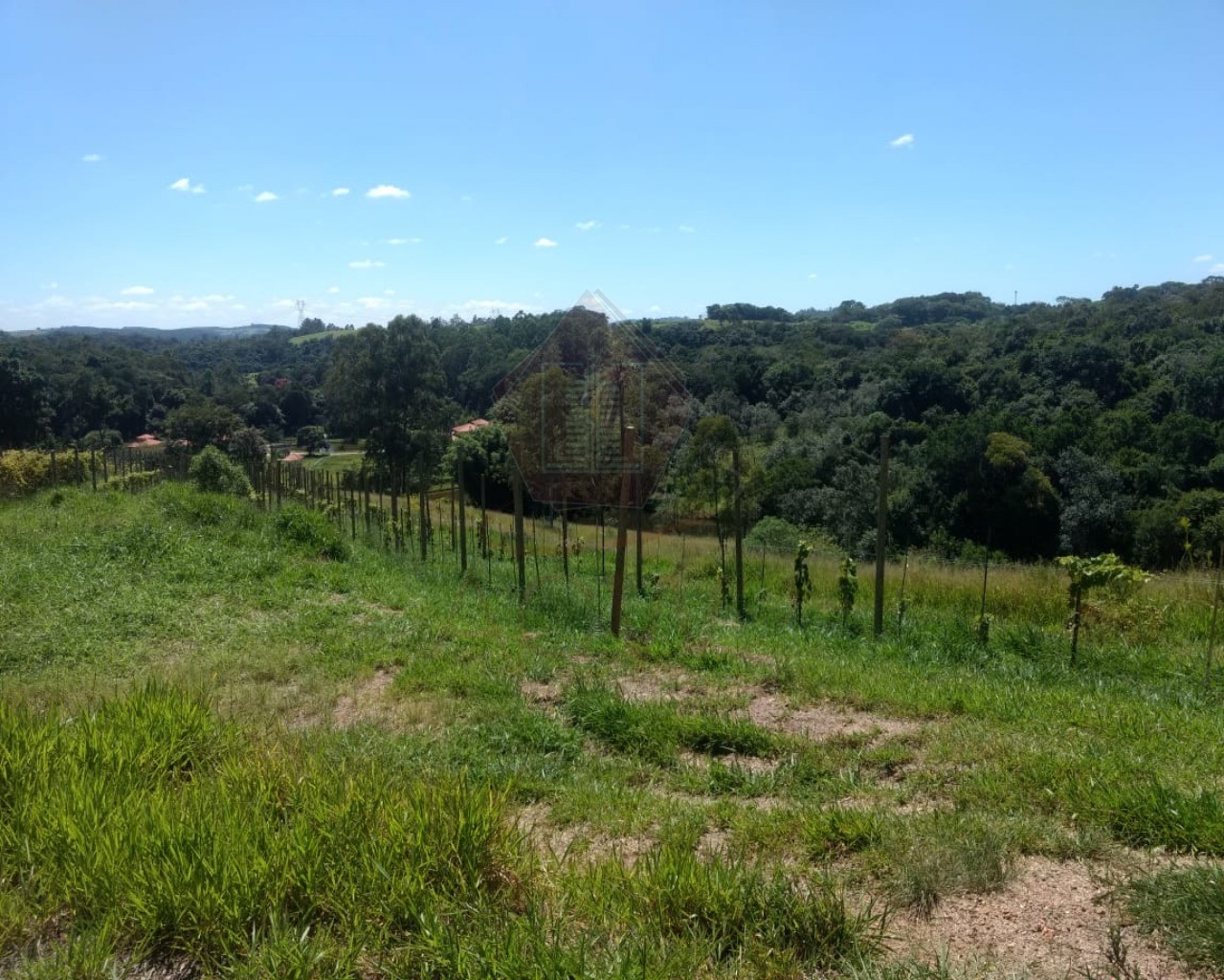 Sítio, 12 hectares - Foto 6