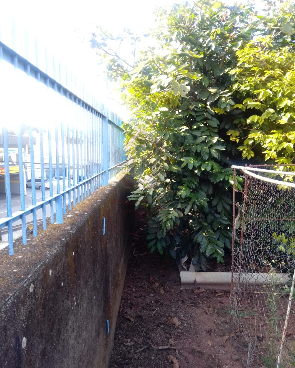 Terreno, 630 m² - Foto 10