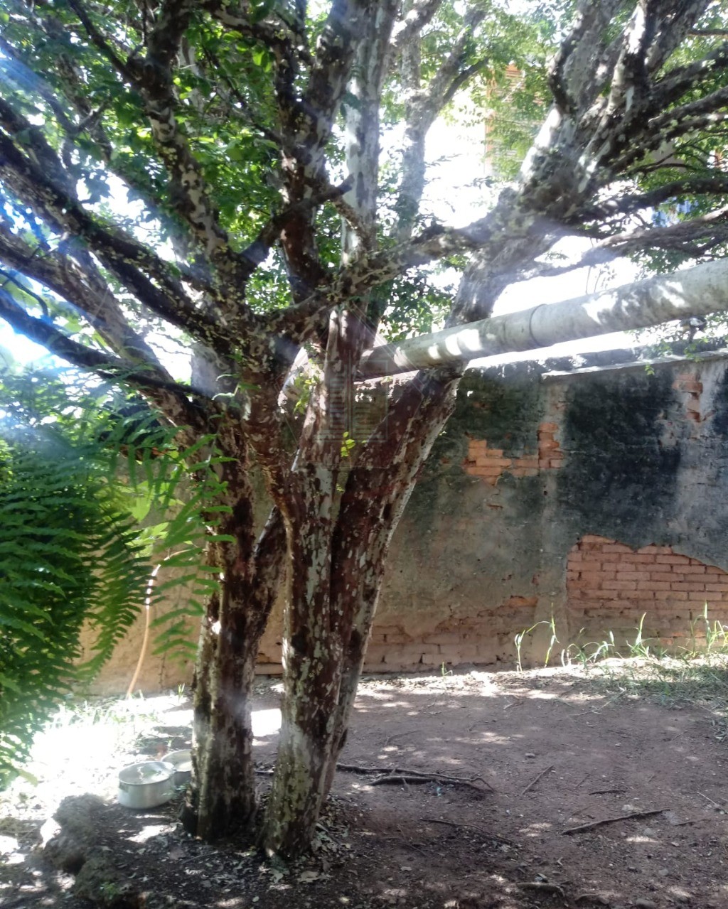 Terreno, 630 m² - Foto 12