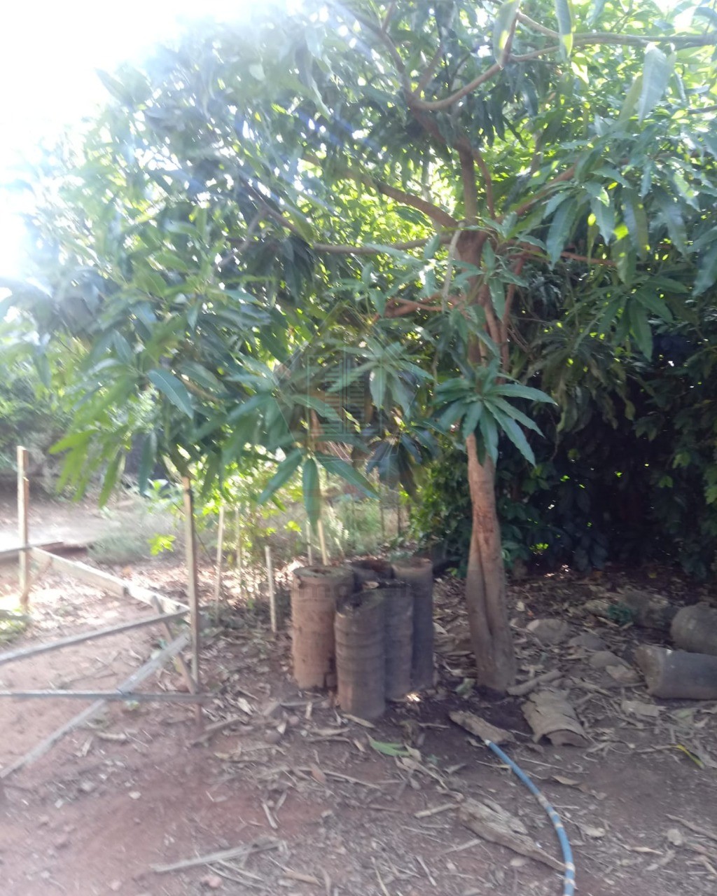 Terreno, 630 m² - Foto 14