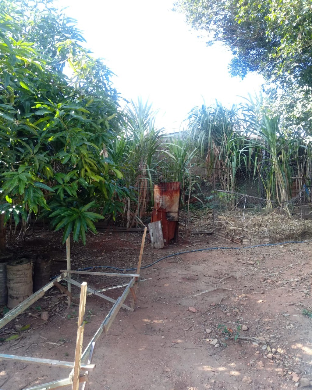 Terreno, 630 m² - Foto 11