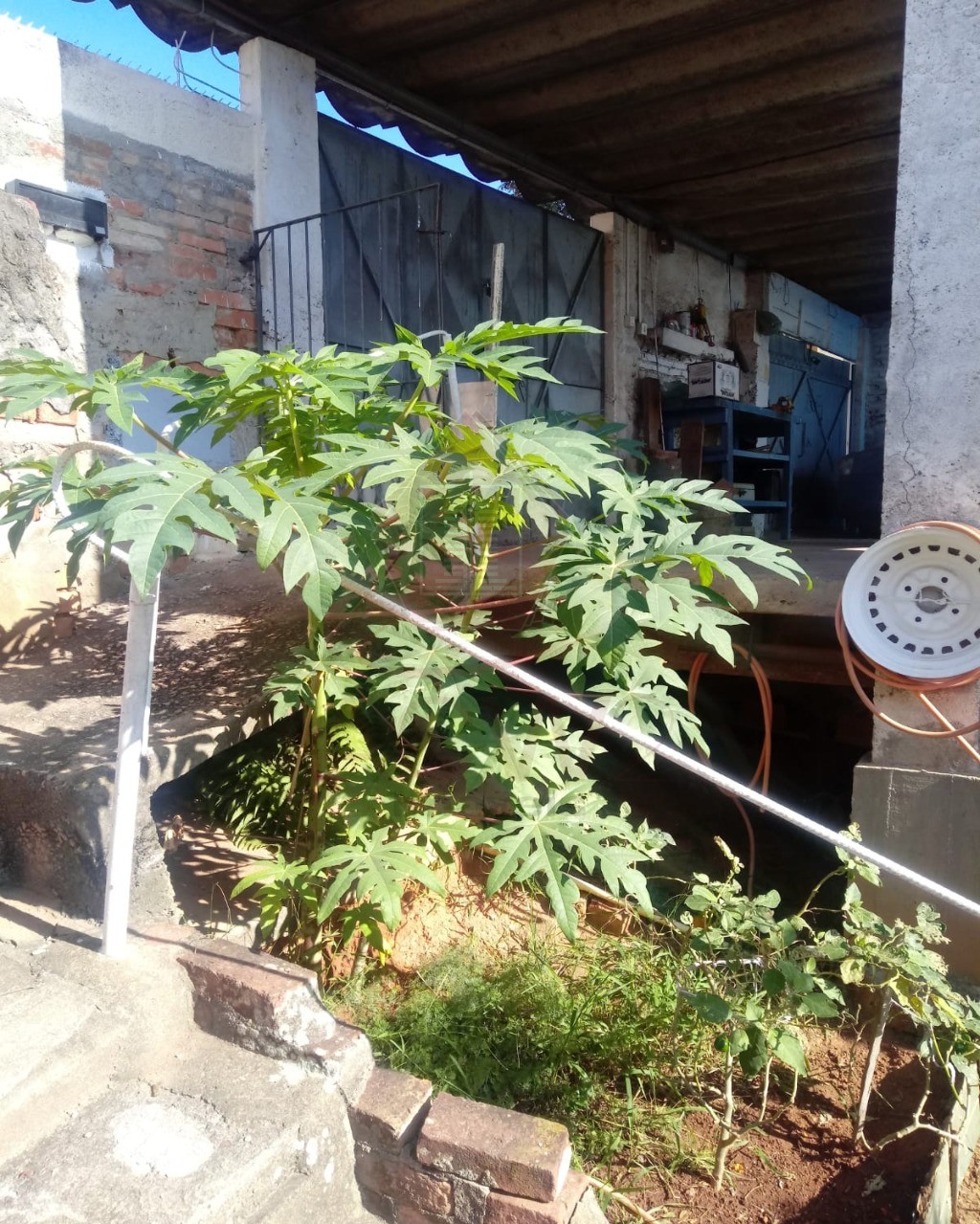 Terreno, 630 m² - Foto 4