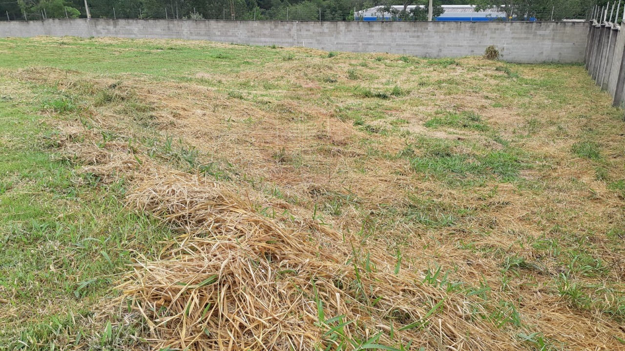 Terreno, 726 m² - Foto 4