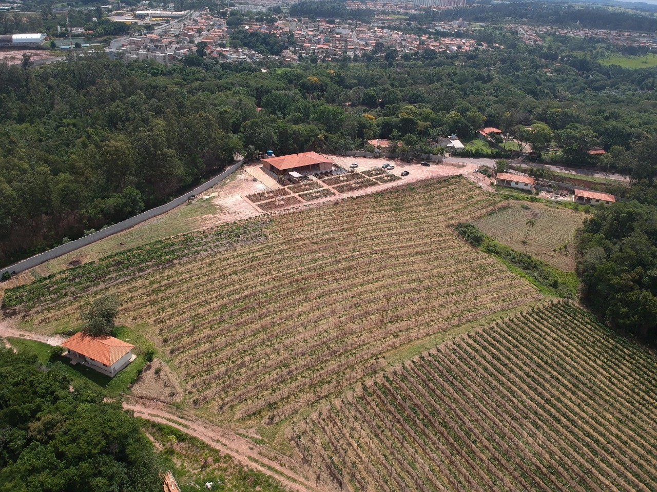 Sítio, 12 hectares - Foto 2