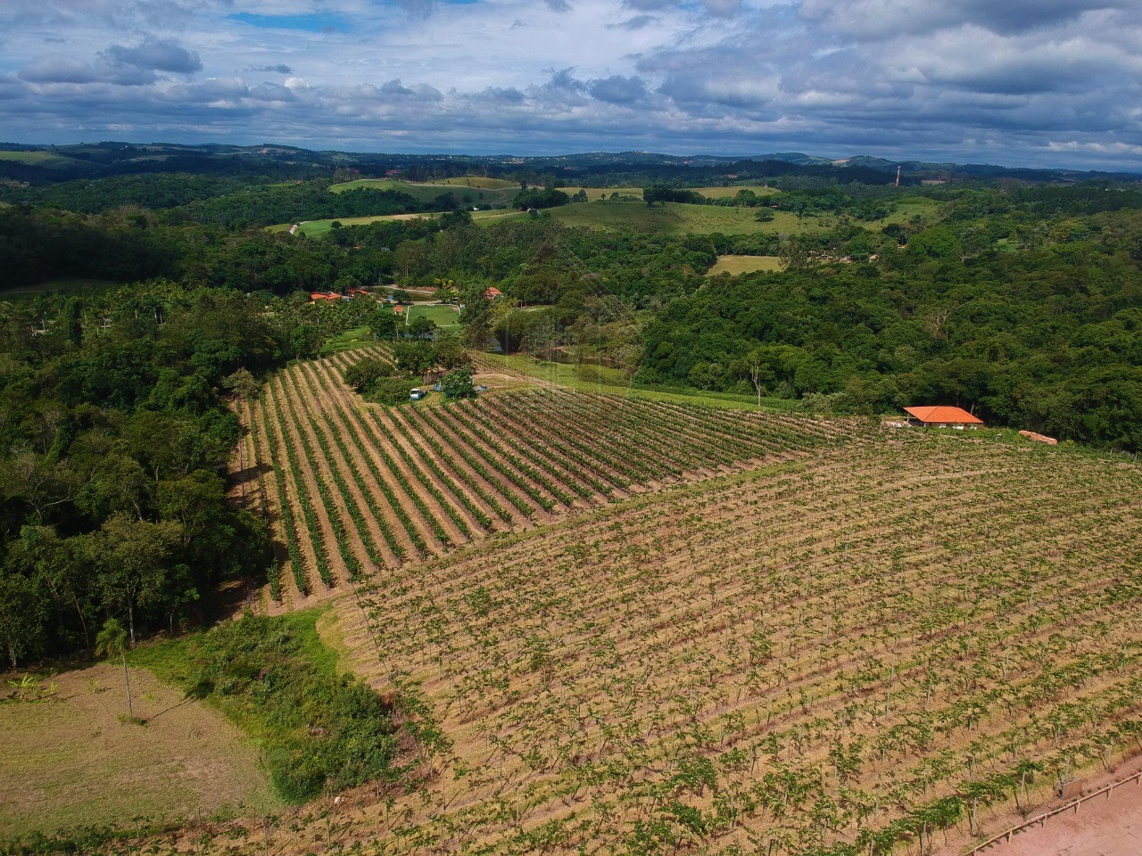 Sítio, 12 hectares - Foto 1