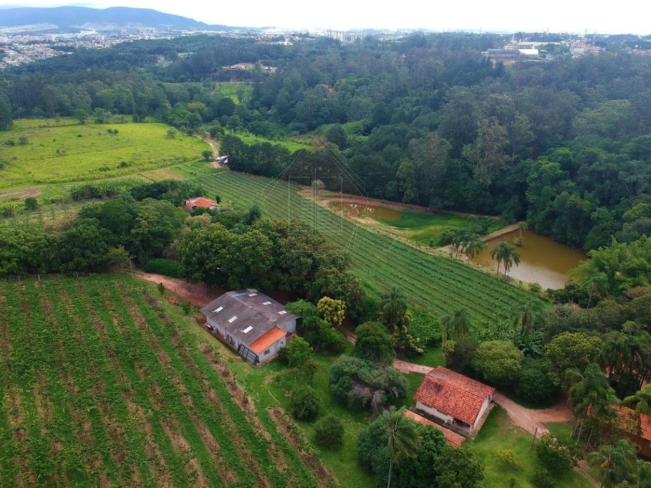 Sítio, 11 hectares - Foto 1