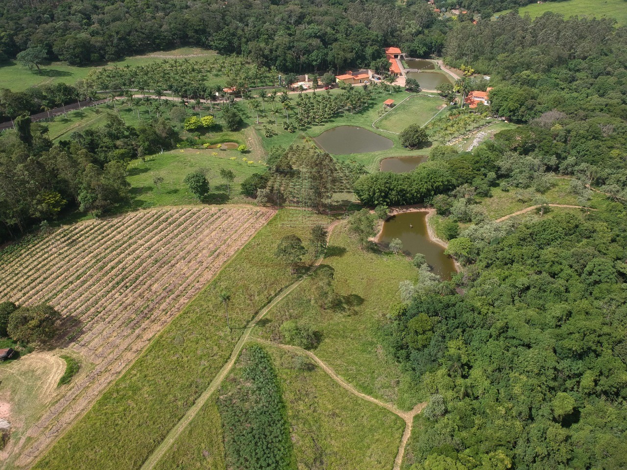 Sítio, 12 hectares - Foto 3