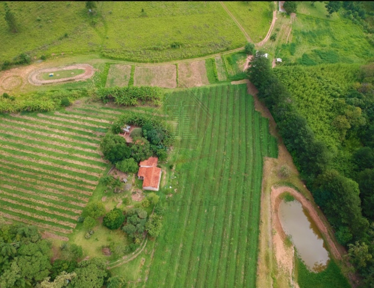 Sítio, 11 hectares - Foto 12