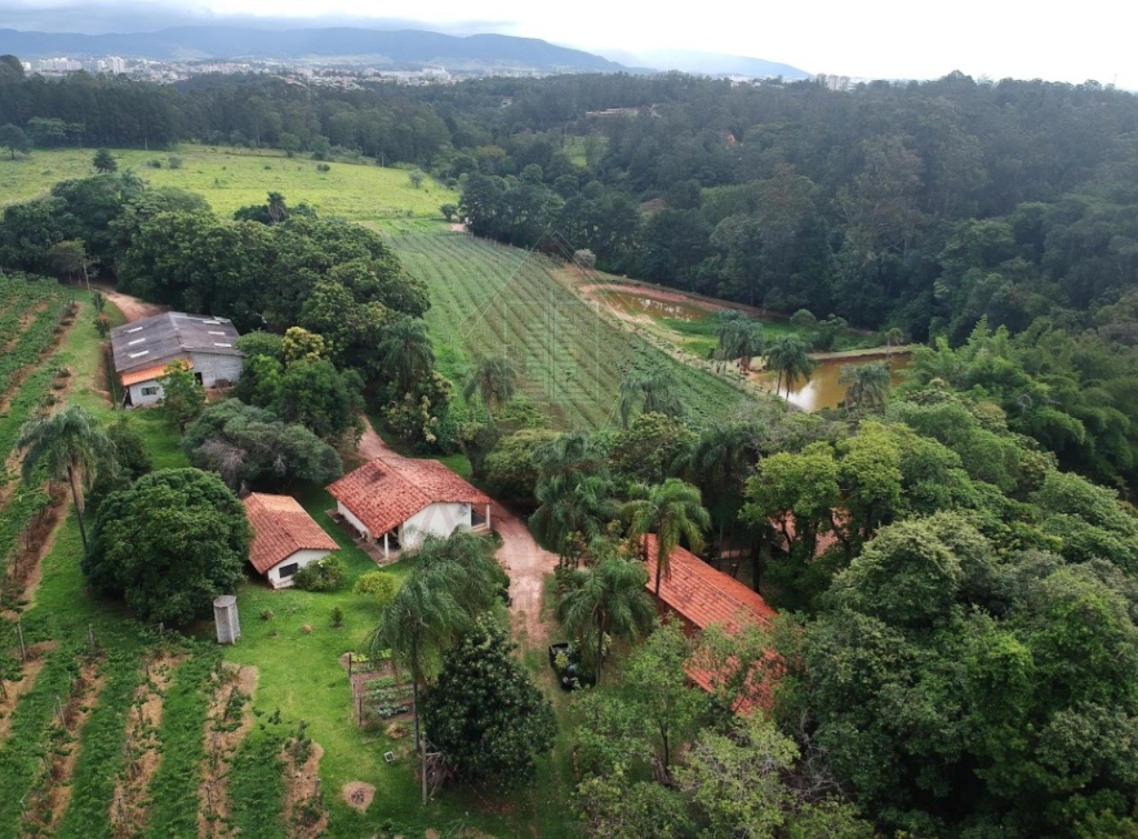 Sítio, 11 hectares - Foto 4