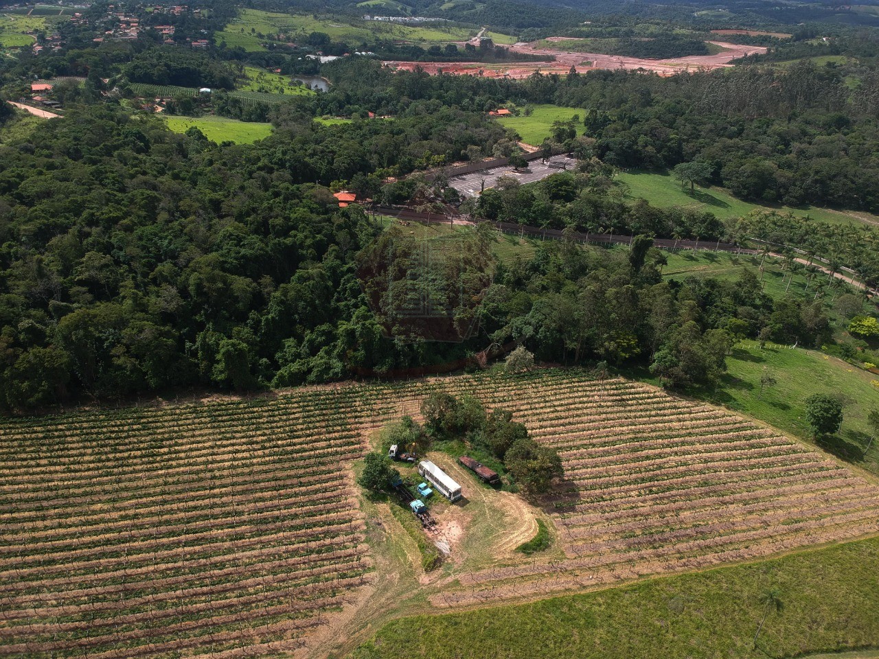 Sítio, 12 hectares - Foto 4