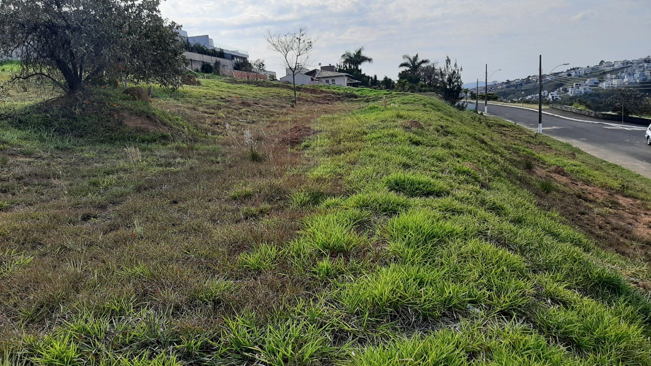 Terreno, 1000 m² - Foto 5