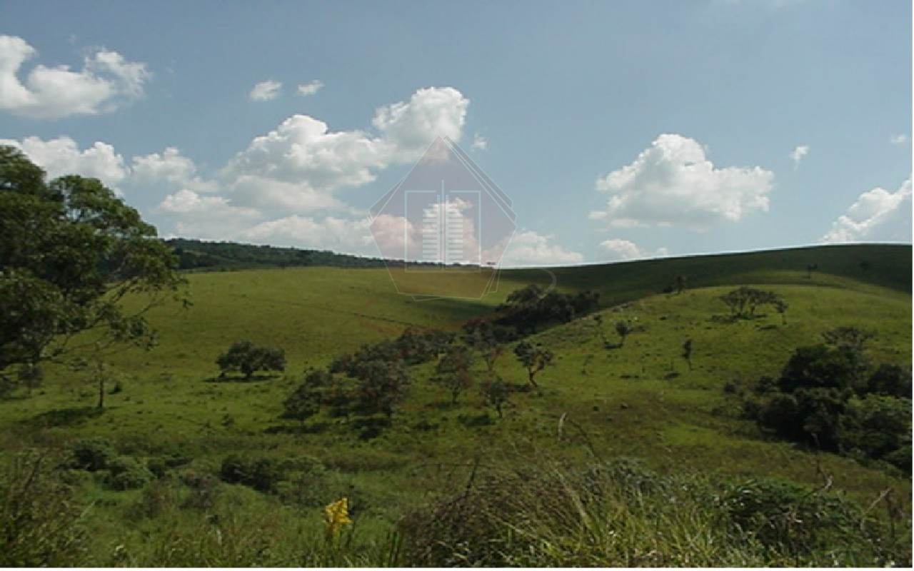 Fazenda - Foto 1