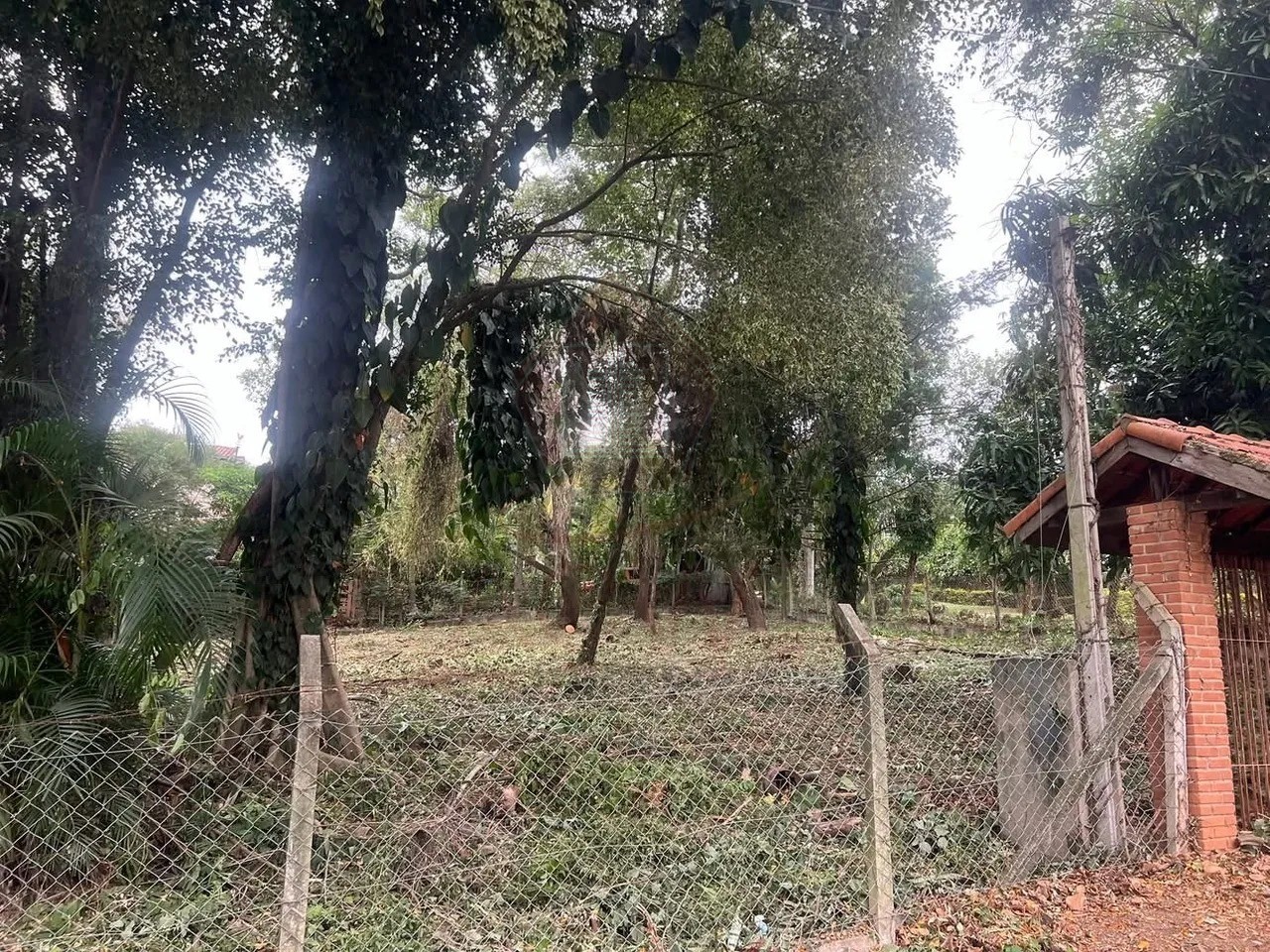 Terreno, 878 m² - Foto 3