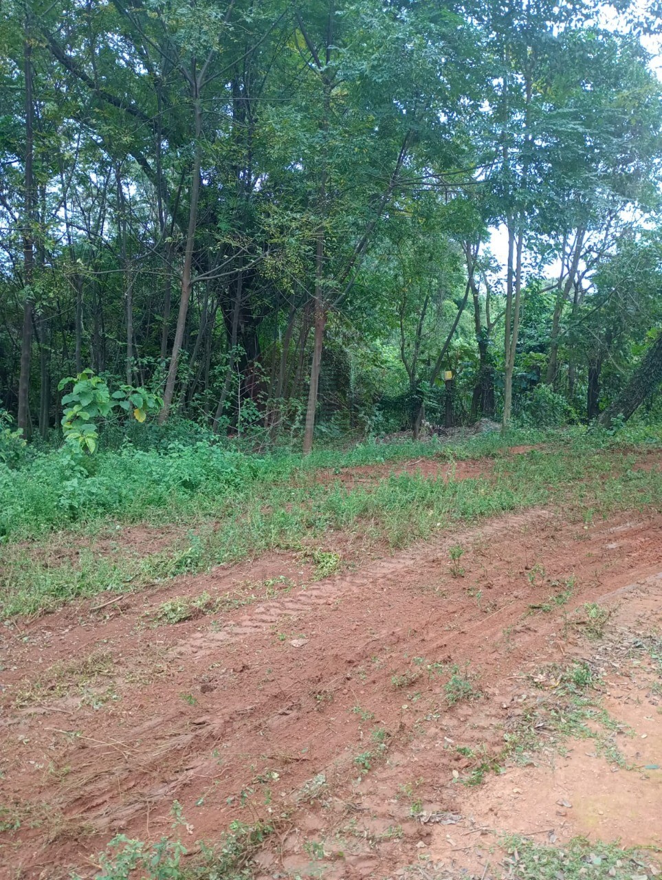 Loteamento e Condomínio, 5500 m² - Foto 2