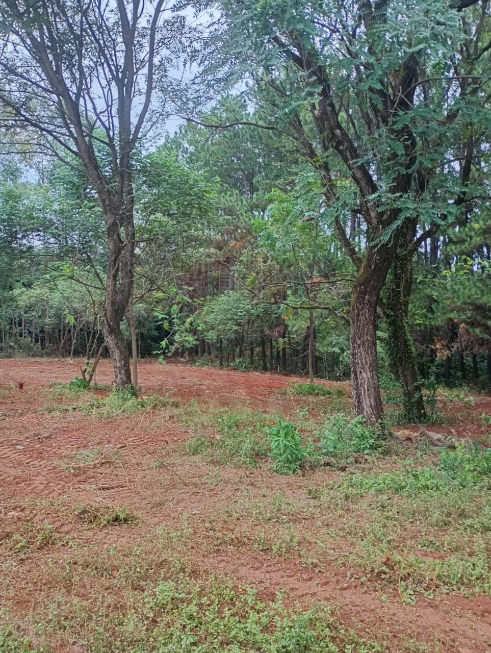 Loteamento e Condomínio, 5500 m² - Foto 3