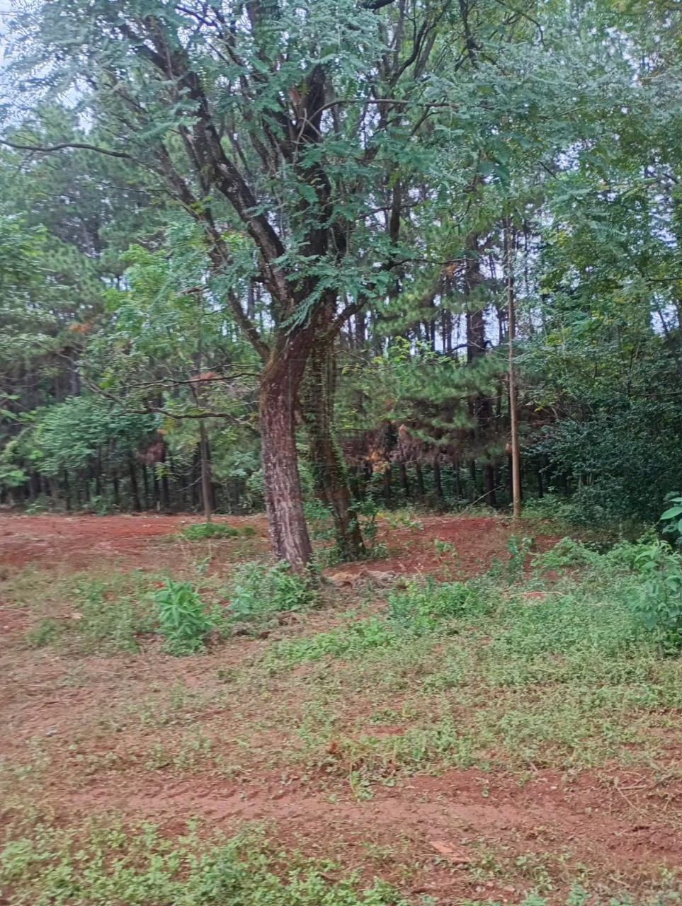 Loteamento e Condomínio, 5500 m² - Foto 6