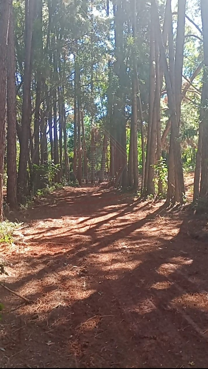 Loteamento e Condomínio, 5500 m² - Foto 7