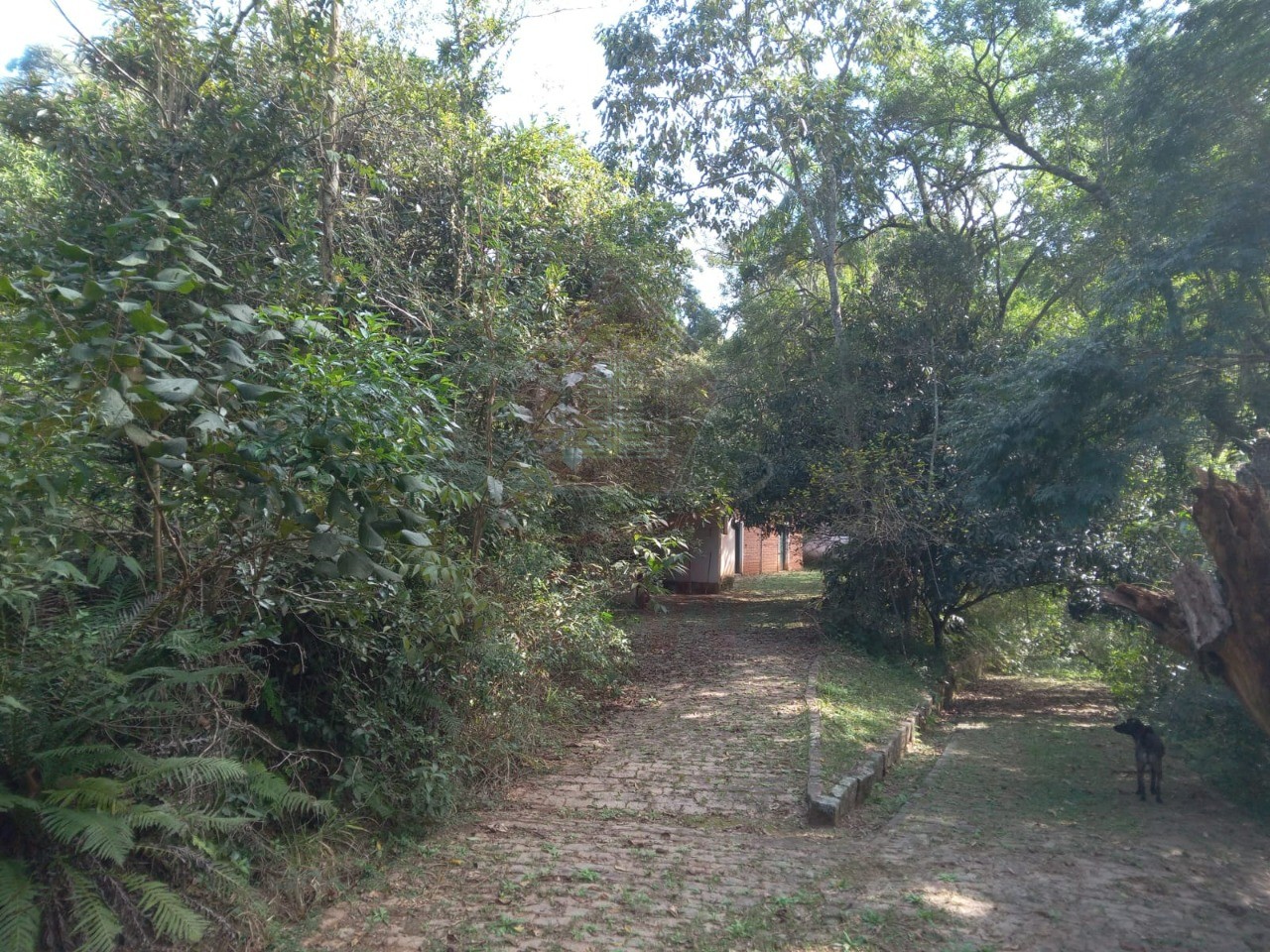 Sítio, 99161 m² - Foto 37