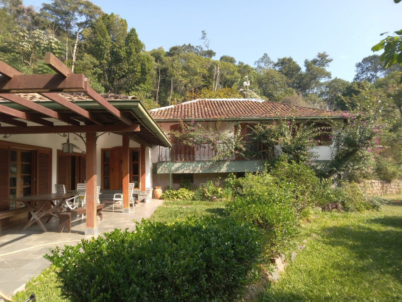 Sítio, 99161 m² - Foto 1