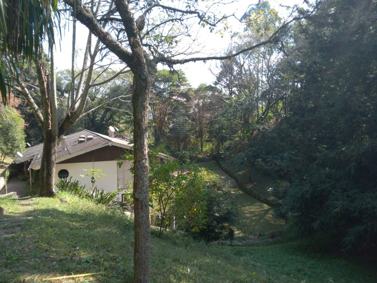 Sítio, 99161 m² - Foto 12