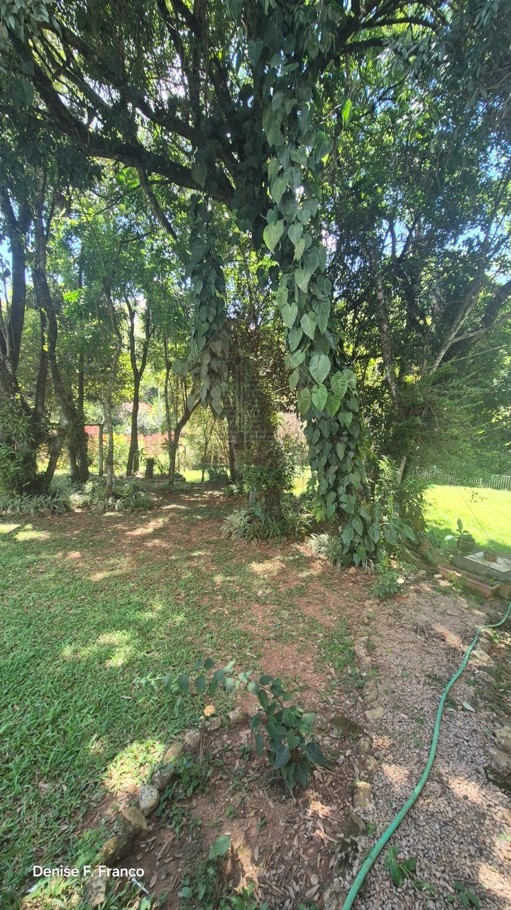 Chácara, 3 quartos - Foto 7