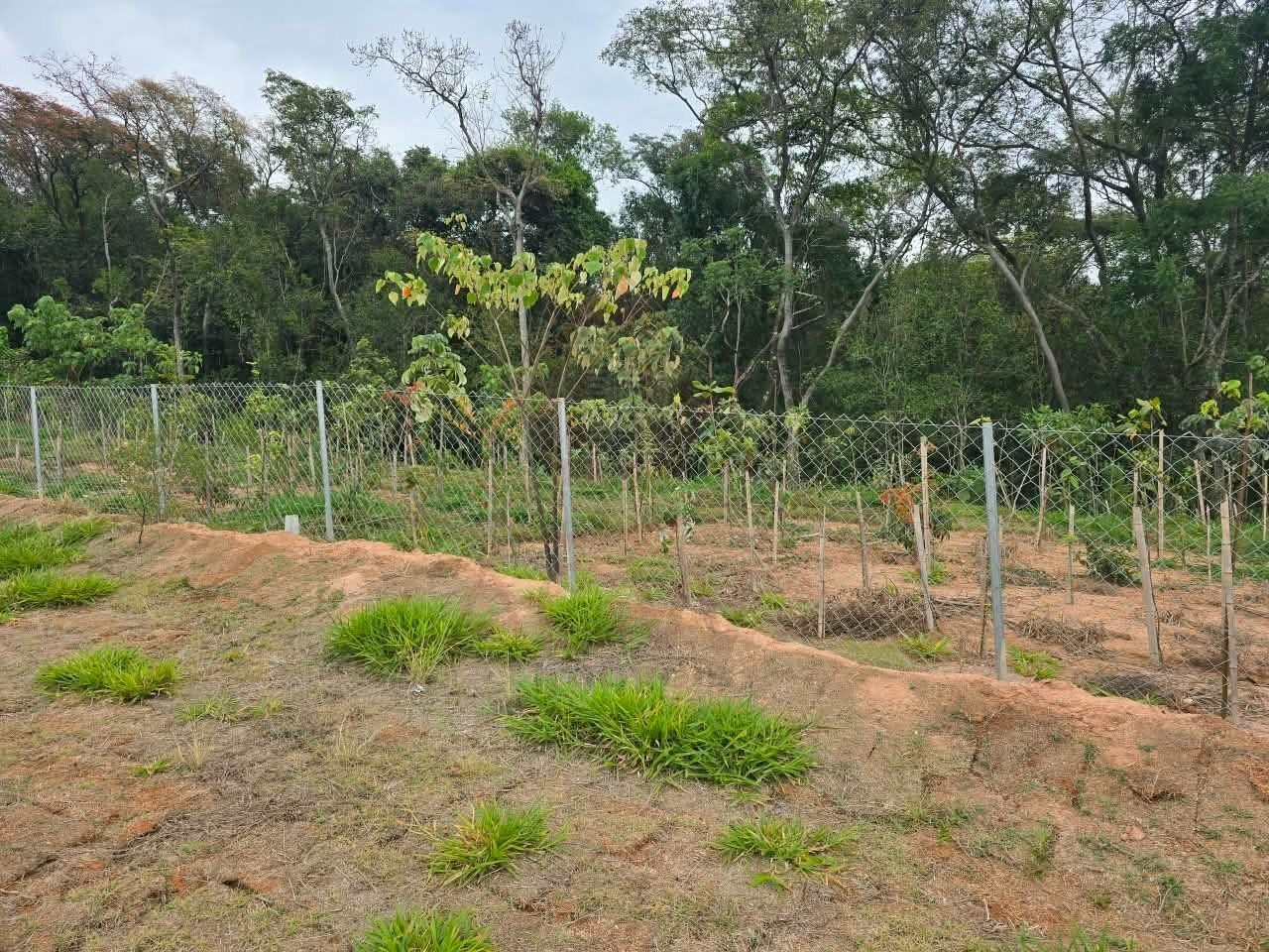 Terreno, 150 m² - Foto 3