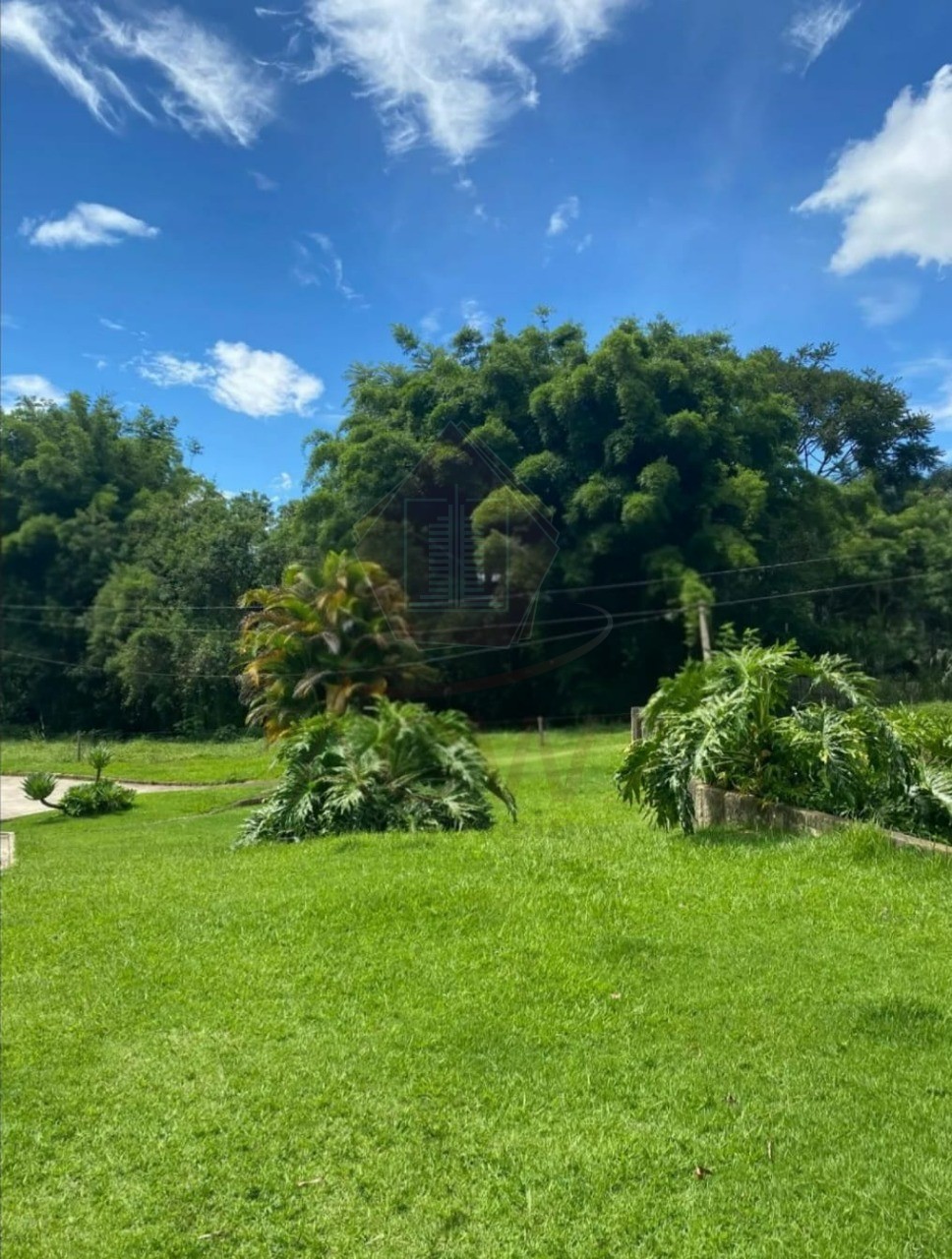 Sítio, 3 quartos, 20166 m² - Foto 17