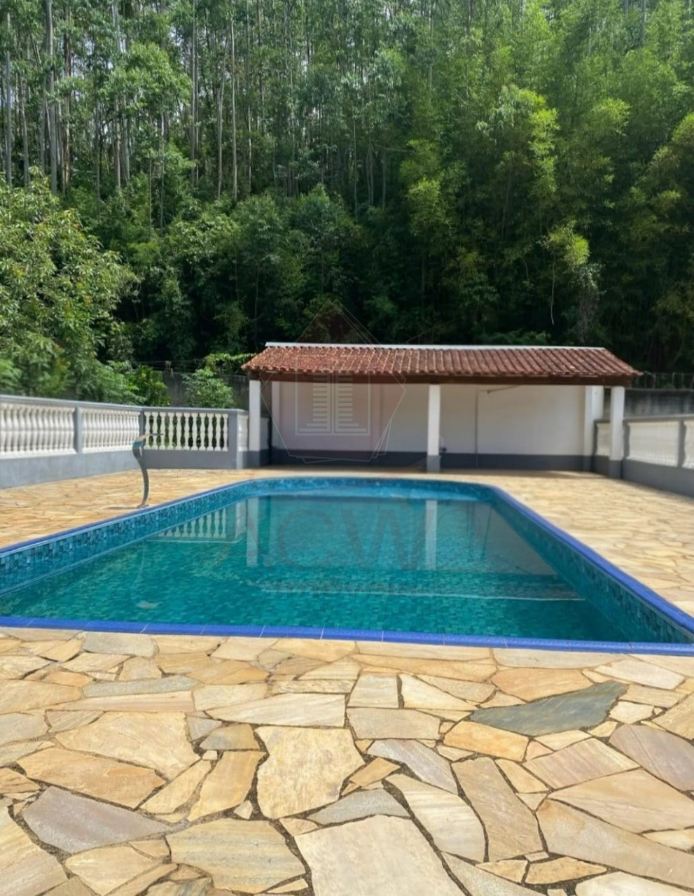 Sítio, 3 quartos, 20166 m² - Foto 16