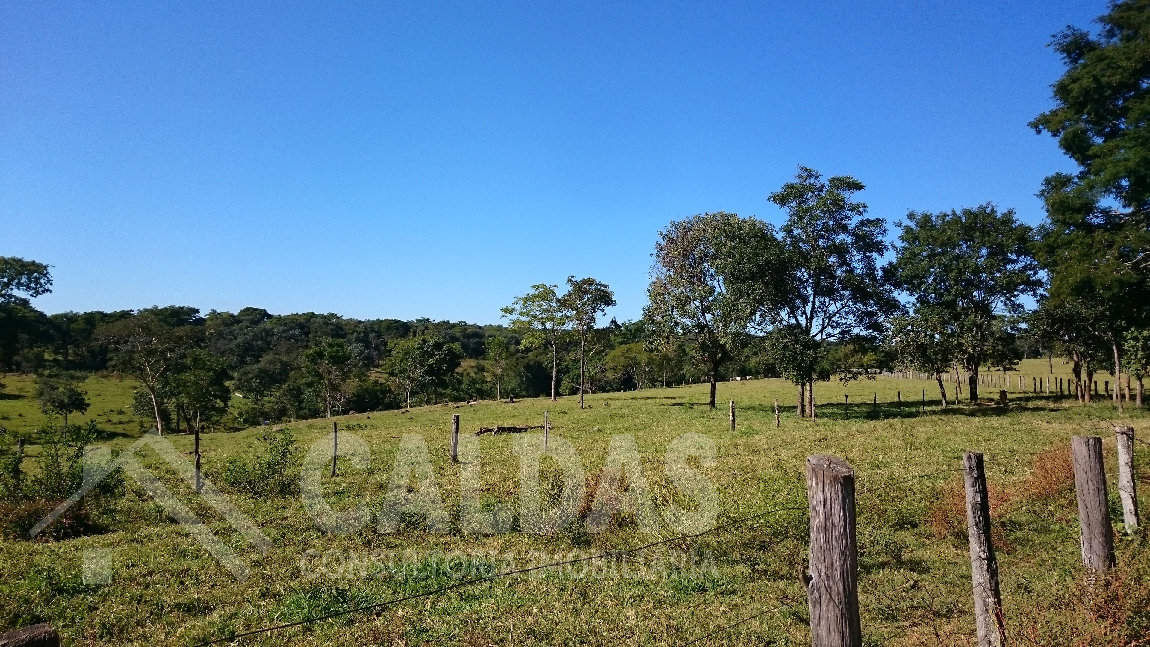 Terreno - Foto 5