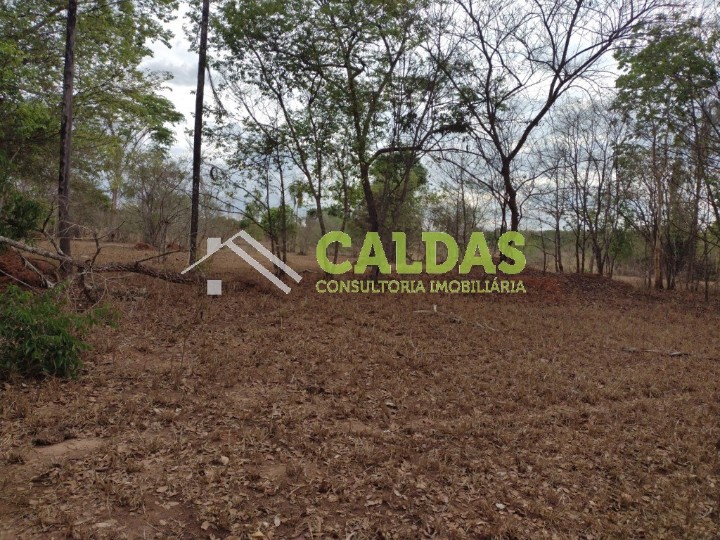 Sítio, 5 hectares - Foto 16