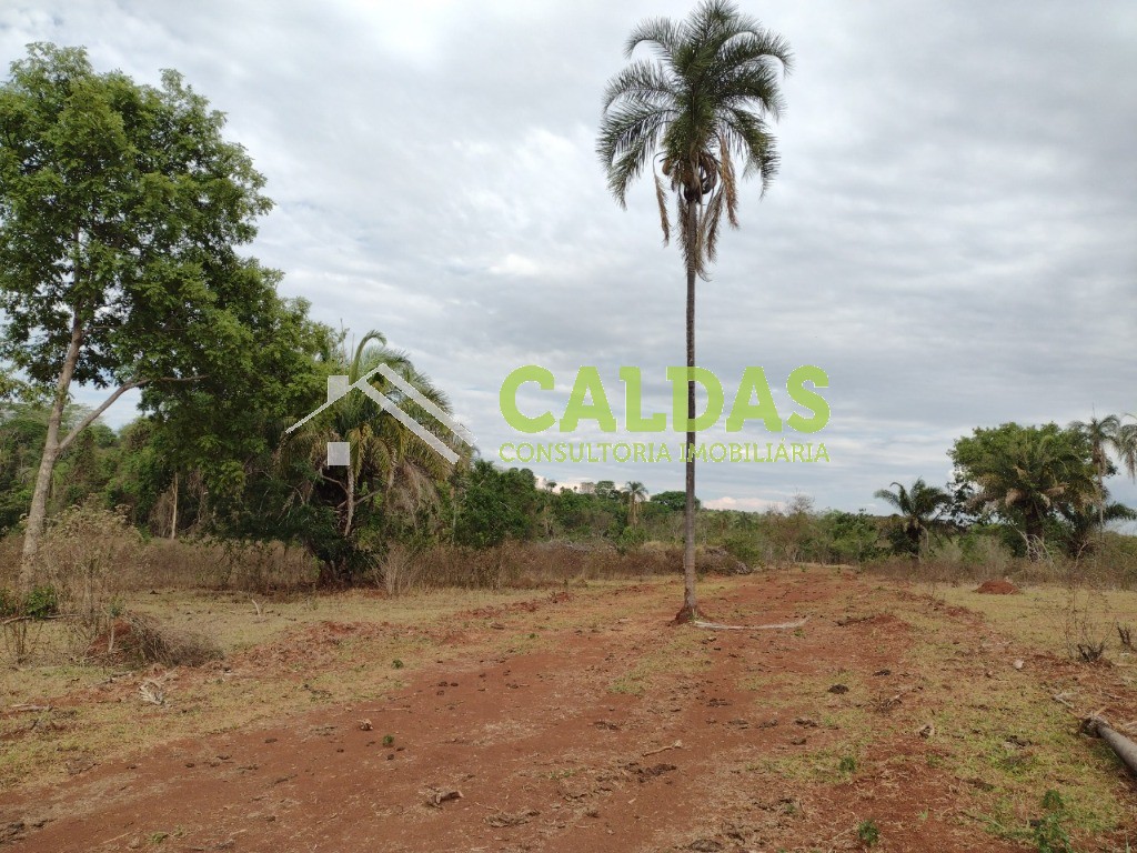 Sítio, 5 hectares - Foto 8