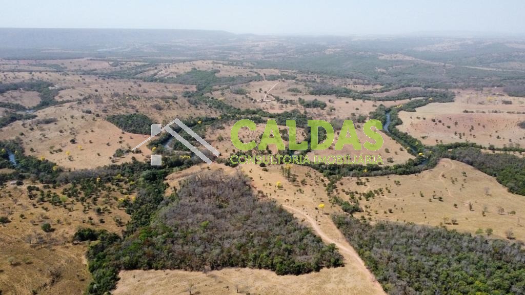 Sítio, 5 hectares - Foto 19
