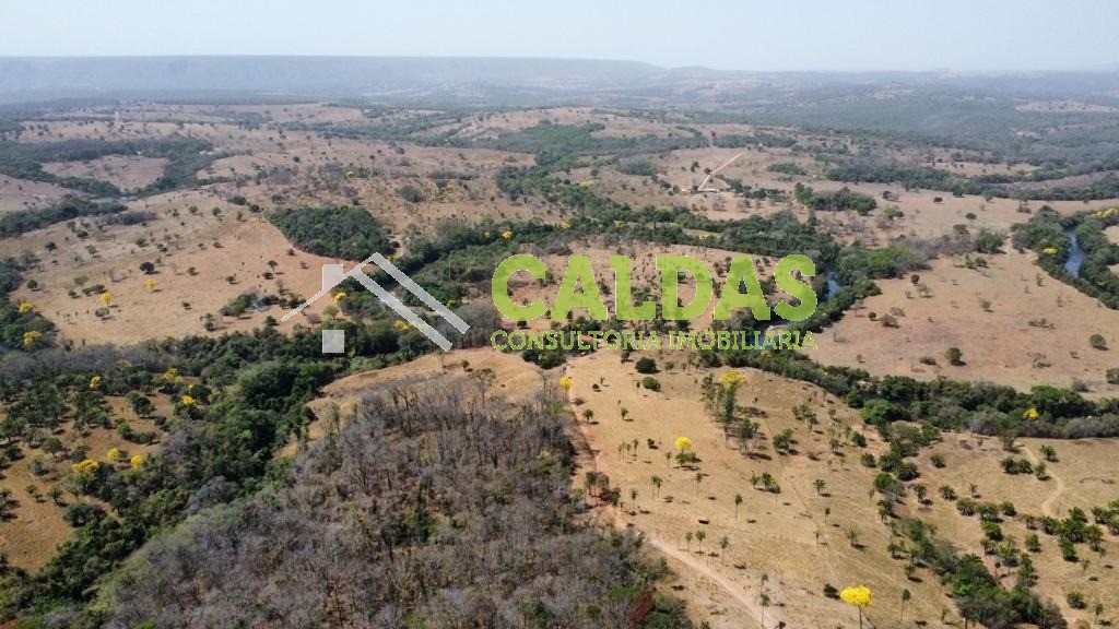 Sítio, 5 hectares - Foto 21