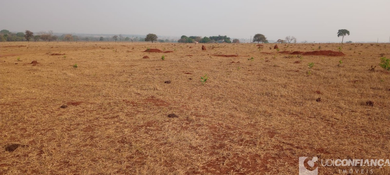 Fazenda - Foto 22