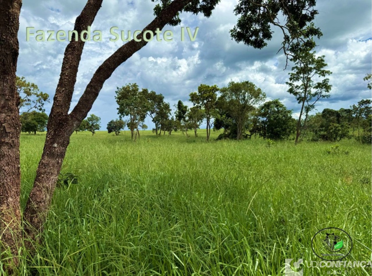 Fazenda - Foto 10
