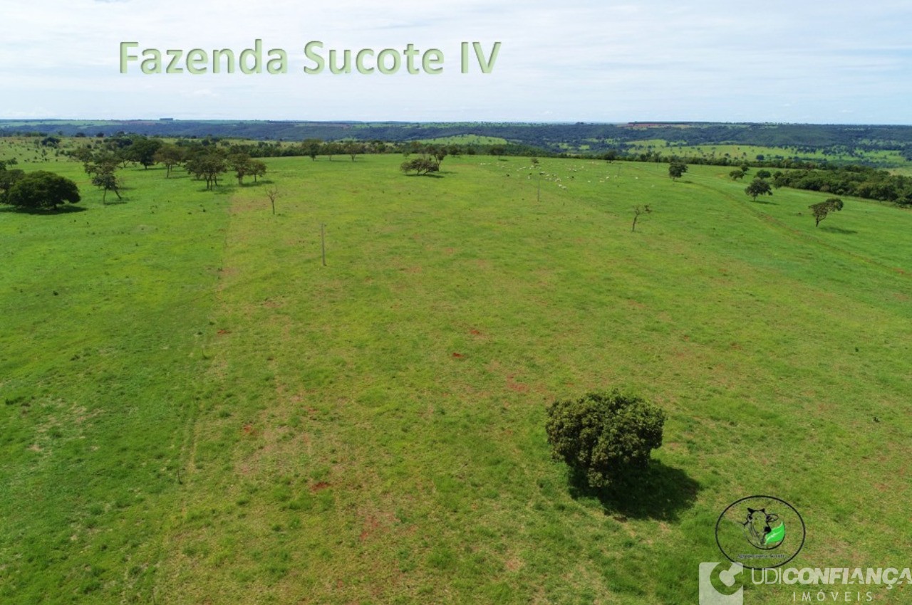 Fazenda - Foto 16