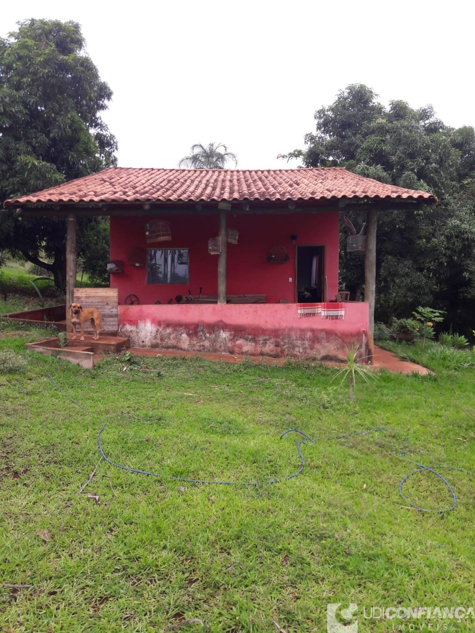 Sítio - Foto 2